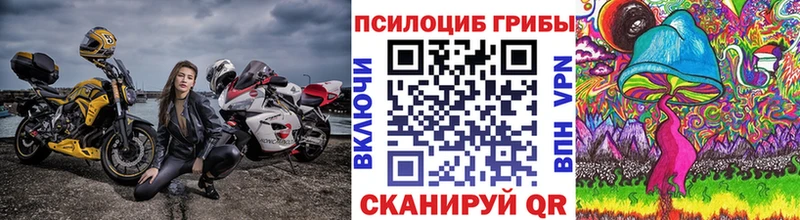 Галлюциногенные грибы MAGIC MUSHROOMS  магазин продажи наркотиков  Грайворон 